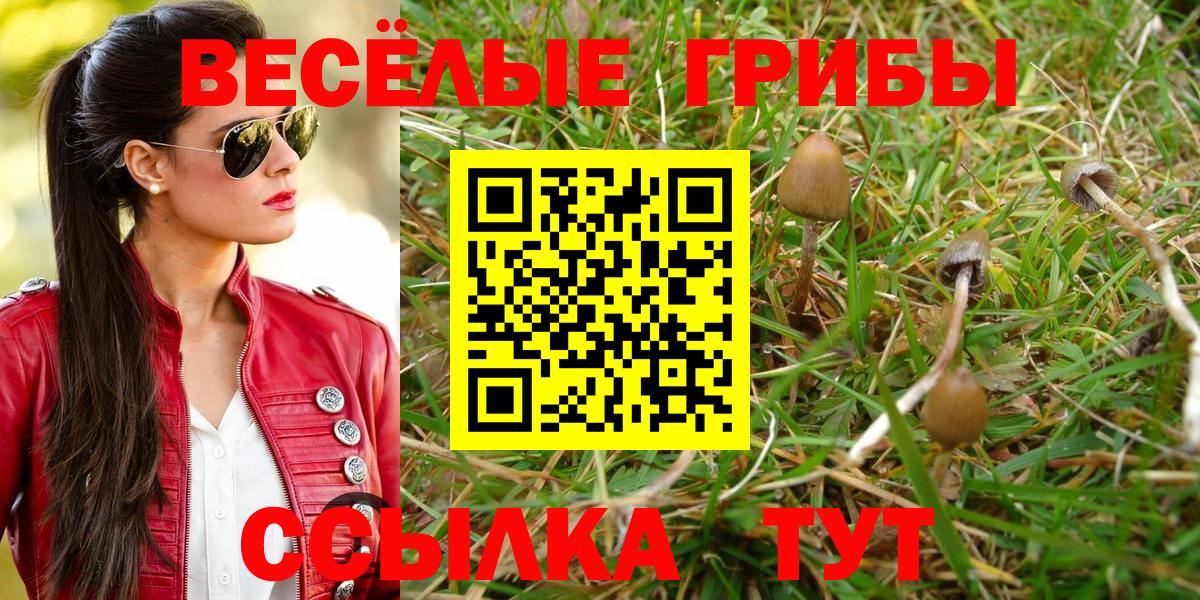 Псилоцибиновые грибы GOLDEN TEACHER  Псилоцибиновые грибы Psilocybe  Михайловск  Вход с VPN 